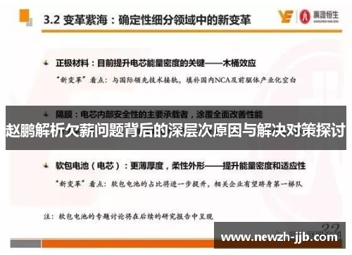 赵鹏解析欠薪问题背后的深层次原因与解决对策探讨 赵鹏解析欠薪问题背后的深层次原因与解决对策探讨