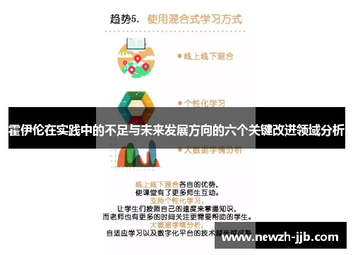 霍伊伦在实践中的不足与未来发展方向的六个关键改进领域分析